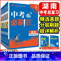中考必刷题❤️语文 湖南省 [正版]湖南2025版湖南中考必刷题语文数学英语物理化学历史道德与法治地理生物初中必刷题初三