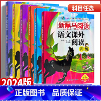 语文课外阅读训练A版 小学一年级 [正版]2024版新黑马阅读一二年级三年级四年级五年级六年级语文课外阅读训练A版全国通