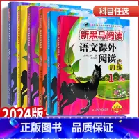 语文课外阅读训练A版 小学一年级 [正版]2024版新黑马阅读一二年级三年级四年级五年级六年级语文课外阅读训练A版全国通