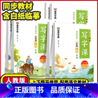 语文同步写字课❤️人教版 六年级下 [正版]2025版墨点字帖小学生同步写字课一年级二年级三年级四年级五六年级上册下册人