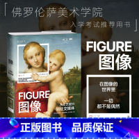 [正版]图像:从文艺复兴到社交媒体 里卡尔多·法尔奇内利 著 佛罗伦萨美术学院入学考试用书 创意型工作者不可错过 书籍