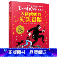 大盗奶奶的完美冒险 [正版]百班千人三年级祖庆说暑假3三年级遥远的信号外婆变成了麻猫了不起的灰灰大盗奶奶的完美冒险贾上册