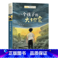 一个孩子的大地震 [正版]全国儿童文学奖获奖作家书系——一个孩子的大地震