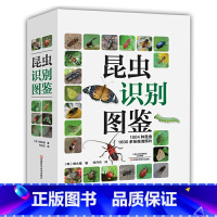 [正版]昆虫识别图鉴 1004种昆虫1600多张高清照片自然百科知识读物全书科普书韩永植动物世界昆虫图鉴识别辨认入门书