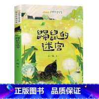 鼹鼠的迷宫 [正版]全国儿童文学奖获奖作家书系——鼹鼠的迷宫