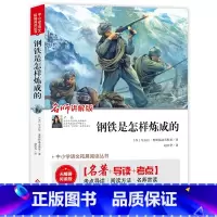 钢铁是怎样炼成的 [正版]钢铁是怎样炼成的(视频讲解版)中小学生课外阅读书籍儿童文学世界名著 无障碍阅读 考点导读+阅读