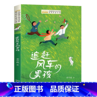 追赶风车的男孩 [正版]全国儿童文学奖获奖作家书系——追赶风车的男孩