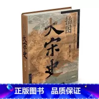 插图大宋史 [正版]插图大宋史(宋史专家虞云国全新力作)