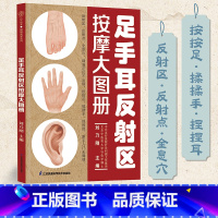 足手耳反射区按摩大图册 [正版]足手耳反射区按摩大图册