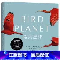 [正版]鸟类星球:摄影之旅