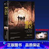 地心游记(精装) [正版]地心游记中小学课外阅读名著未删减插图珍藏版全译本