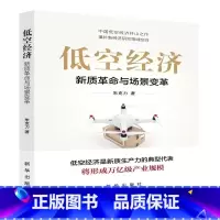 低空经济:新质革命与场景变革 [正版]低空经济:新质革命与场景变革