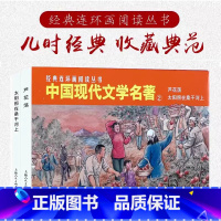 [正版]经典连环画阅读丛书 中国现代文学名著2全2册 芦花荡+太阳照在桑干河上 经典连环画阅读丛书小人书 上海人民美术