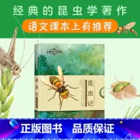 金蔷薇阅读花园·昆虫记 [正版]金蔷薇阅读花园 昆虫记 法布尔 名著读物原版八年级上册阅读课外书必读 讲述昆虫的体貌特征