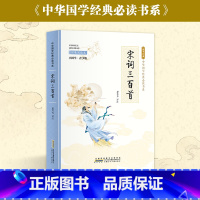 I222.844 [正版]宋词三百首(彩色青少版 注释+译文 中小学课外阅读书籍 无障碍阅读 中华国学经典书系)