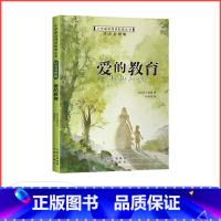 爱的教育 [正版]满29元小学基础阅读配套丛书注音美绘版——爱的教育(单册塑封)