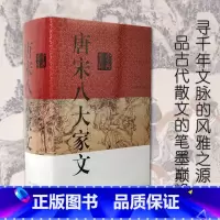 [正版]唐宋八大家文鉴赏辞典 吴小林 著 中国文学鉴赏辞典大系上海辞书出版社 古典散文古诗词 中国文学普及读物 书籍