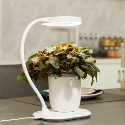4D BIOS四维生态智能鲜花种植机家居水培花器摆件鲜活花卉瓶LED灯