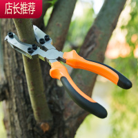果树环枝剪环剥钳剥剪工具葡萄枣树枝环割刀剥树皮刀园艺剪刀JING PING