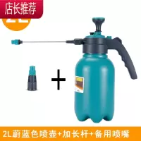 喷水壶压力居家园艺浇花植物喷雾器小型家用手压式洒水壶JING PING