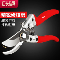 剪枝剪刀果树省力家用花卉修枝强力剪树枝果园园艺粗枝剪刀JING PING
