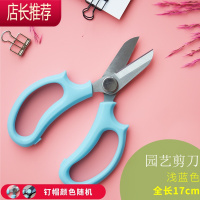 宽头家用花剪园林工具鲜花花道剪花树枝修枝工具JING PING