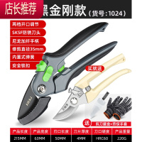 剪枝剪刀园艺剪树枝果树果枝修枝剪花剪园林花艺强力省力粗枝剪子JING PING