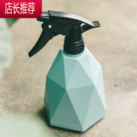 喷壶浇花家用小喷壶浇花气压式喷雾器浇水壶喷水瓶喷壶消毒专用JING PING