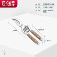 花剪园艺剪刀花艺修枝剪叶家用园林花卉小盆栽果树花店JING PING