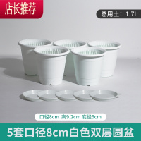 君子兰蝴蝶兰专用花盆透气塑料树脂月季控根花盆JING PING花盆容器