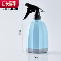 喷壶浇花喷水壶家用消毒专用喷雾器小型园艺养花浇水瓶小号洒水壶JING PING