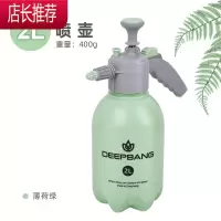 喷水壶浇花喷壶消毒专用喷壶洒水壶气压式园艺家用养花器浇水壶JING PING