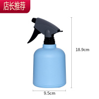 园艺小型喷壶浇花养花家用手压式塑料瓶喷水壶消毒专用洒水喷雾器JING PING