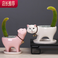 简约植物白色多肉花盆陶瓷创意个性可爱小号桌面仙人掌猫尾巴花器JING PING花盆容器