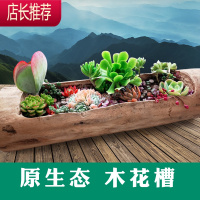 多肉木头花盆树桩木质长条型木桩原木特大口径木槽网红宽口木花盆JING PING花盆容器