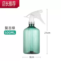喷壶浇花浇水喷雾器家用园艺养花压力洒水壶气压式喷水壶消毒专用JING PING