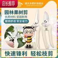 德沃多果树修枝剪刀园艺园林修花枝剪家用强力花剪子器剪枝剪刀JING PING