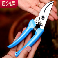 剪刀修枝剪不锈钢兰花分苗修芽剪盆景修剪造型专用工具套装JING PING