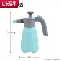喷壶浇花家用气压式喷水壶洒水浇花器园艺浇水壶消毒专用喷雾器JING PING