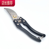 园林果树盆景造型专用工具枝剪芽剪刀 园艺修花剪树技剪刀 修枝剪JING PING