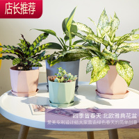 爱美北欧简约创意个性树脂小加仑花盆加厚塑料仿陶瓷多肉植物盆栽JING PING花盆容器