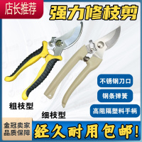 花卉园艺剪刀果树园林修枝剪家用工具手柄果枝月季花园草坪剪枝剪JING PING