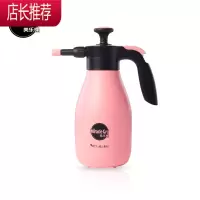 种花王大爷喷壶瓶喷雾器浇花家用气压式植物喷水消毒洒水壶JING PING