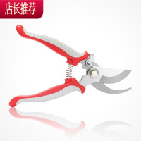 不锈钢花艺剪刀鲜花剪修枝剪园林园艺果树修枝剪花店材料JING PING