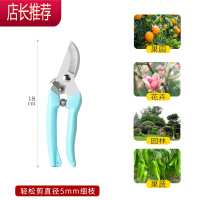 不锈钢园艺剪刀修剪果树枝园林家用摘水果器嫁接花艺专用修枝剪JING PING