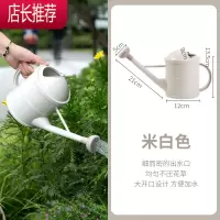 加长杆洒水壶大号塑料长嘴花洒家用园艺多肉植物喷水壶浇花洒水壶JING PING
