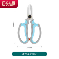 花艺师专用插花剪刀修枝剪家用花艺剪鲜花剪花店专用修玫瑰花剪子JING PING