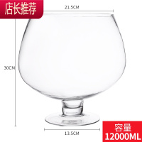酒杯鱼缸超大英雄杯特大号水杯大容量啤酒杯大号巨大巨型高脚杯JING PING 12000(主图款)