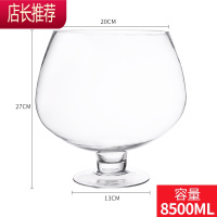 酒杯鱼缸超大英雄杯特大号水杯大容量啤酒杯大号巨大巨型高脚杯JING PING 8500
