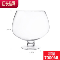 酒杯鱼缸超大英雄杯特大号水杯大容量啤酒杯大号巨大巨型高脚杯JING PING 7000